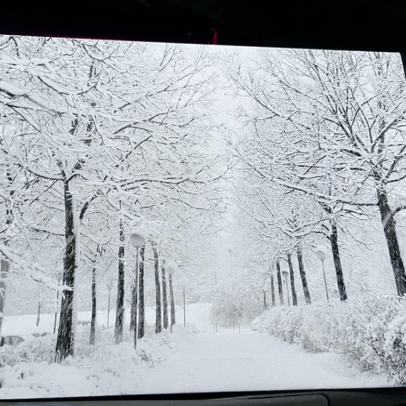 12"x16" Battery Operated Winter Wonderland Canvas Art Like New ON/OFF Switch - Picture 2 of 8